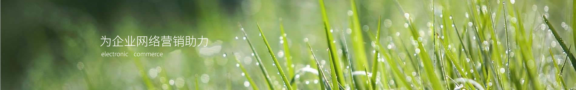 ݸп޹˾